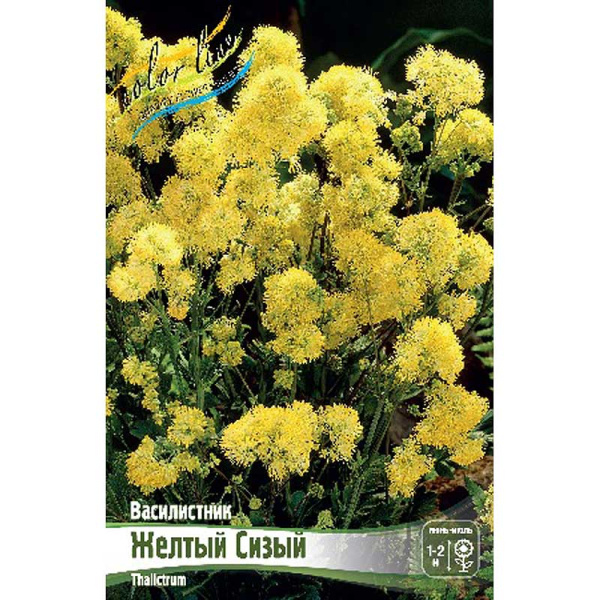 Василистник Желтый Сизый I 1 шт 