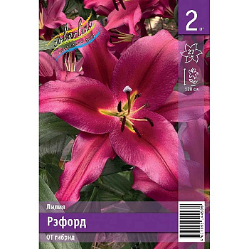 Лилия Рэфорд 14/16 2 Эконом шт 