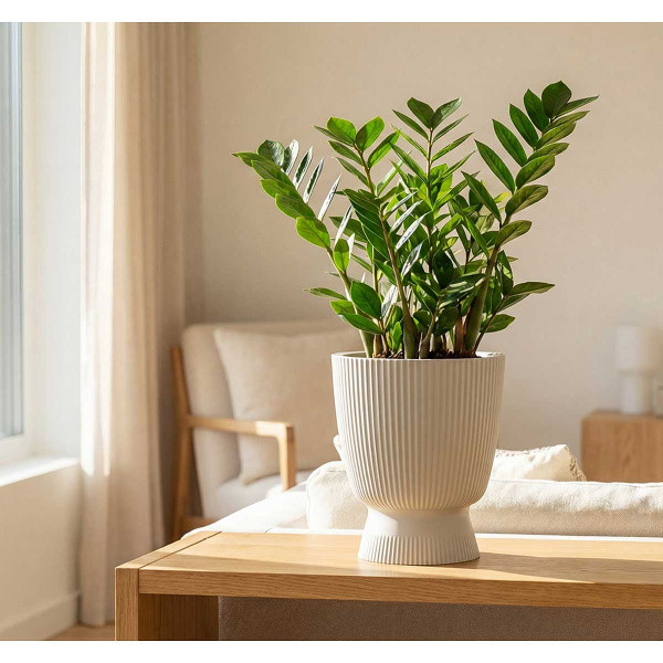 Кашпо ВЕЛЬВЕТ D220мм 3,7л со вставкой Кремовый М3270 х8 