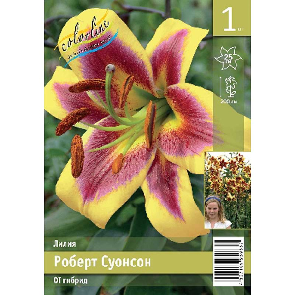 Лилия Роберт Суонсон 12/14 1 Эконом шт