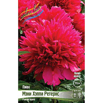 Пион Мэни Хэппи Ретернс 2/3 n 1 шт