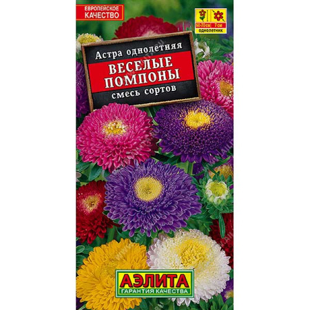 Астра Веселые помпоны Аэлита Ц 