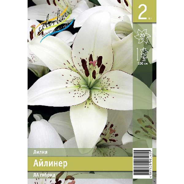 Лилия Айлинер 12/14 2 Эконом шт