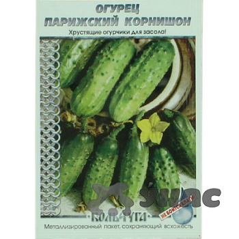 Огурец Парижский корнишон "Кольчуга" НК