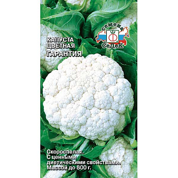 Капуста Гарантия цв. Седек Ц