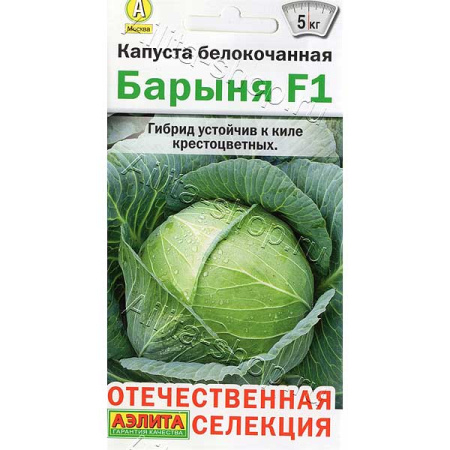 Капуста Барыня Аэлита Цх10