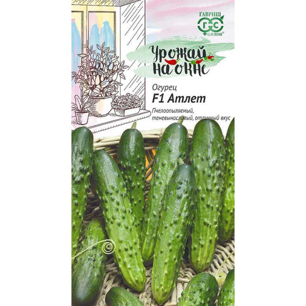 Огурец Атлет (Урожай на окне!) Гавриш Ц