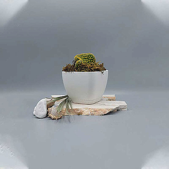 Горшок 0,6л белый 102/10-1 х48 