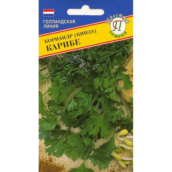 Кориандр Карибе Престиж Ц