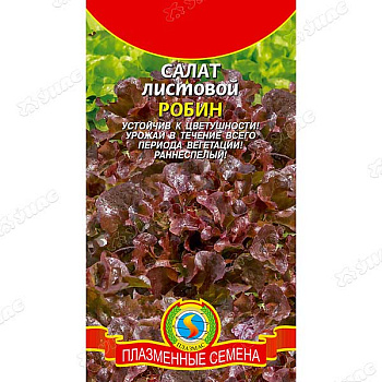 Салат листовой Робин Плазма Ц