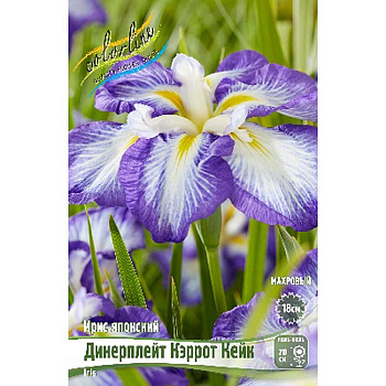 Ирис Мечевидный Динерплейт Кэррот Кейк I 1 шт 