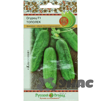 Огурец Тополек НК Ц
