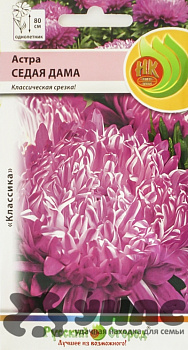 Астра Седая дама НК Ц 