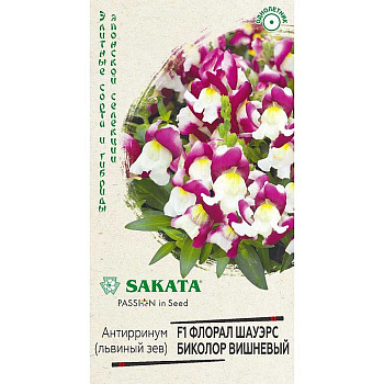 Львиный зев Флорал Шауэрс Биколор вишневый Гавриш Ц 
