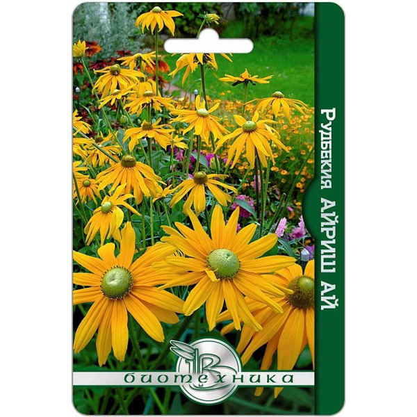Рудбекия Айриш Ай Биотехника Ц 