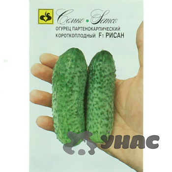 Огурец Рисан Семко Ц