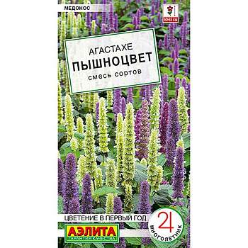 Агастахе Пышноцвет Аэлита Ц 