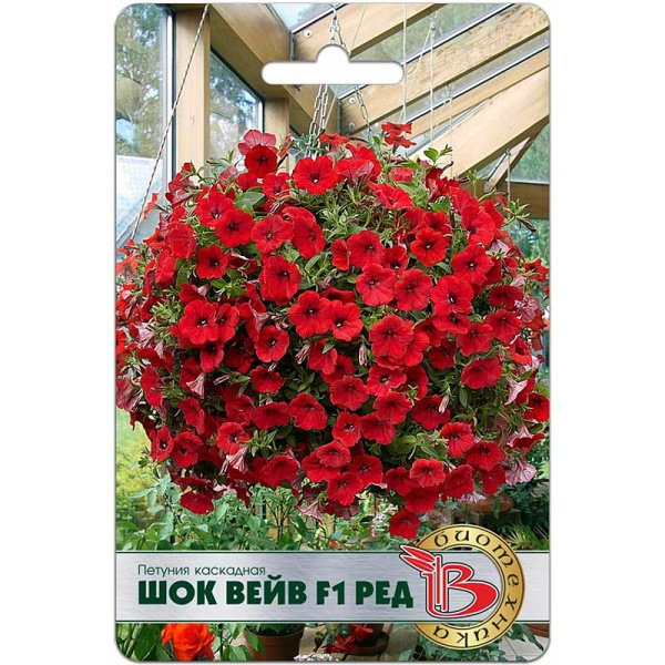 Петуния Шок Вейв Ред Биотехника Ц 