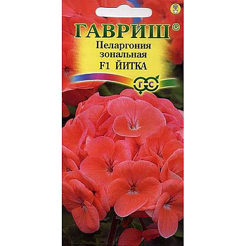 КОМ Пеларгония Йитка Гавриш Ц 