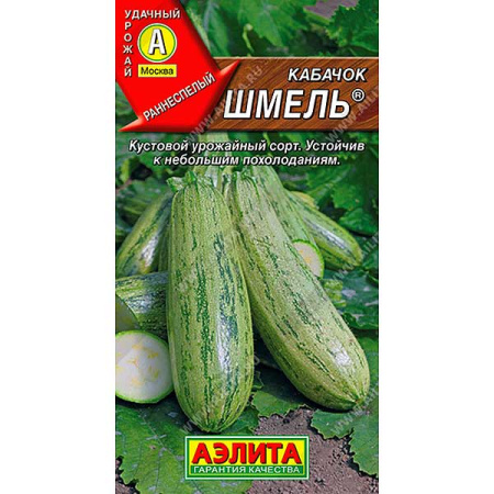 Кабачок Шмель цукини Аэлита Ц