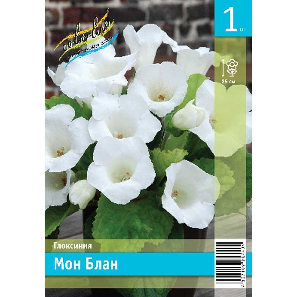 Глоксиния Мон Блан 5/6 1 Эконом шт 