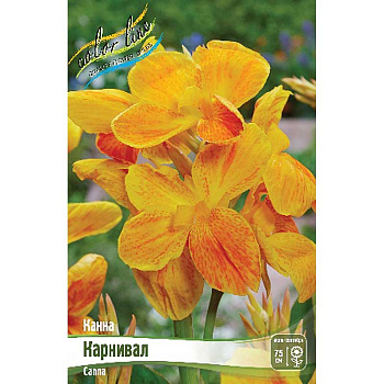 Канна (Зелен) Карнивал I 15 шт Шоу-бокс 13493