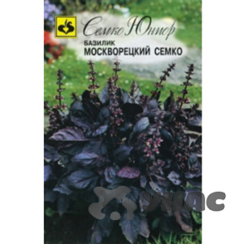 Базилик Москворецкий Семко Семко Ц