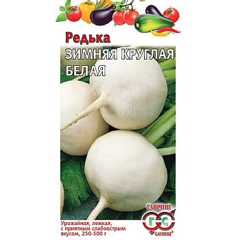 Редька Зимняя круглая белая Гавриш Ц