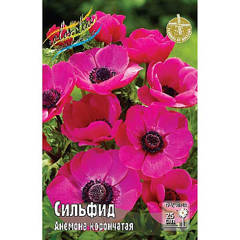 Анемона Сильфид 5/6 10 шт