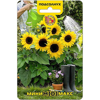 Семена Подсолнух Мини-Макс Миди Биотехника Ц 