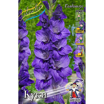 Гладиолус Куки 12/14 5 шт 