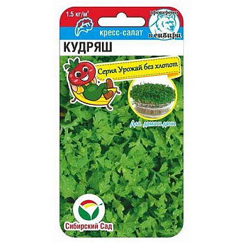 Кресс-салат Кудряш СибСад Ц
