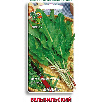 Щавель Бельвильский Поиск Ц