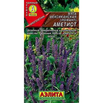 Мята Мексиканская Аметист Аэлита Ц