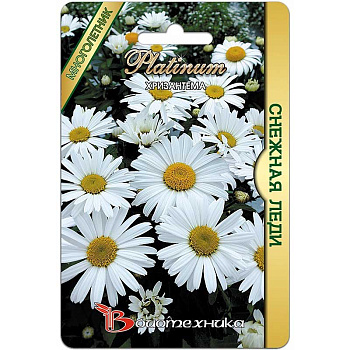 Хризантема Снежная Леди Биотехника Ц 