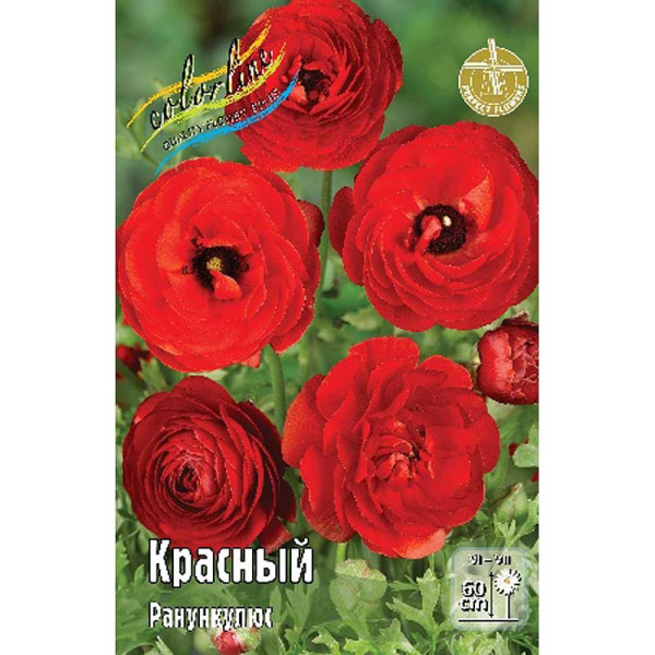 Ранункулюс Красный 6/7 200 шт Шоу-Бокс 9210