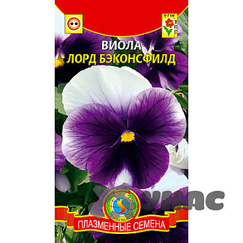 Виола Лорд Бэконсфилд Плазма Ц 