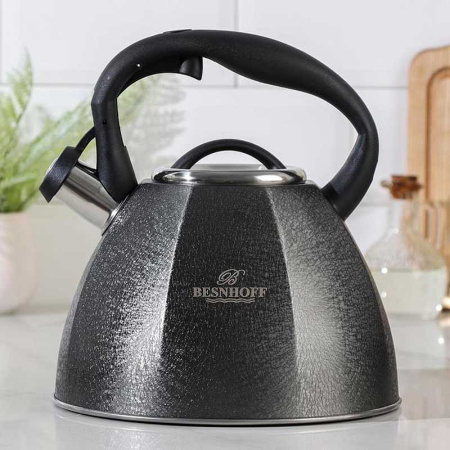 Чайник NA2268/BH-3113 4 л нержавеющая сталь с покрытием