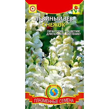 Львиный зев Снежок Плазма Ц 
