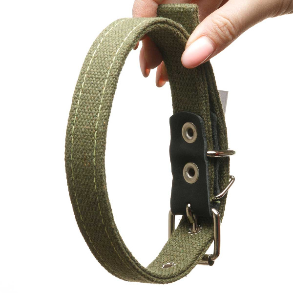 Ошейник брезентовый ширина 25 мм двойной 50 см