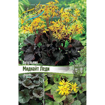 Бузульник Миднайт Леди I 26 шт Биг-Пак 16448