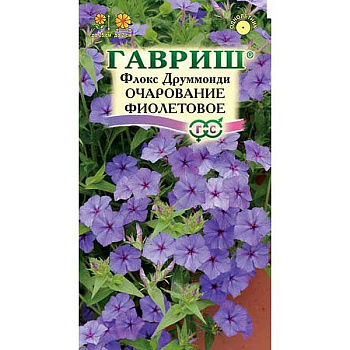 Флокс Друммонда Очарование фиолетовое Гавриш Ц 