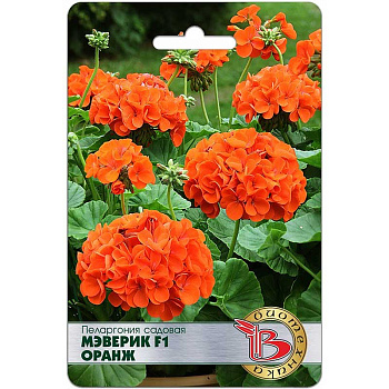 Пеларгония Мэверик Оранж Биотехника Ц 
