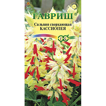 Сальвия Кассиопея карликовая Гавриш Ц 