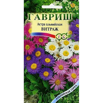 Астра Витраж  альпийская Гавриш Ц 