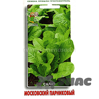 Салат Московский Парниковый Поиск Ц