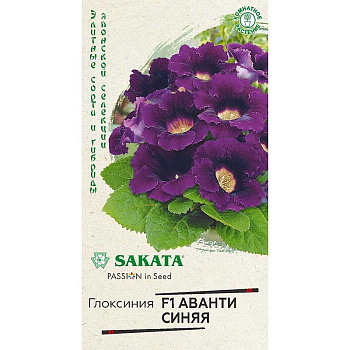 КОМ Глоксиния Аванти синяя  гранул Гавриш Ц 