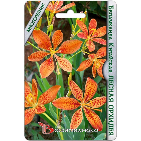Беламканда Лесная орхидея китайская БиоТехника Ц 