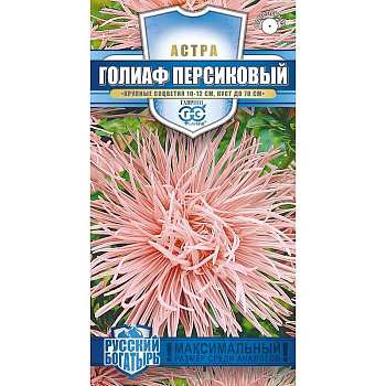 Астра Голиаф персиковый Гавриш Ц 