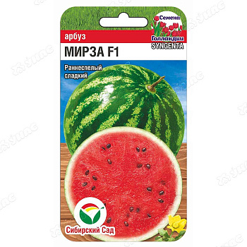 Арбуз Мирза СибСад Ц